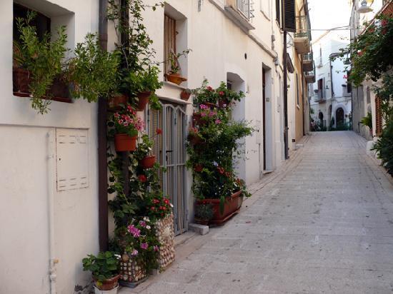 Residenza Borgo Antico Vila Termoli Exterior foto